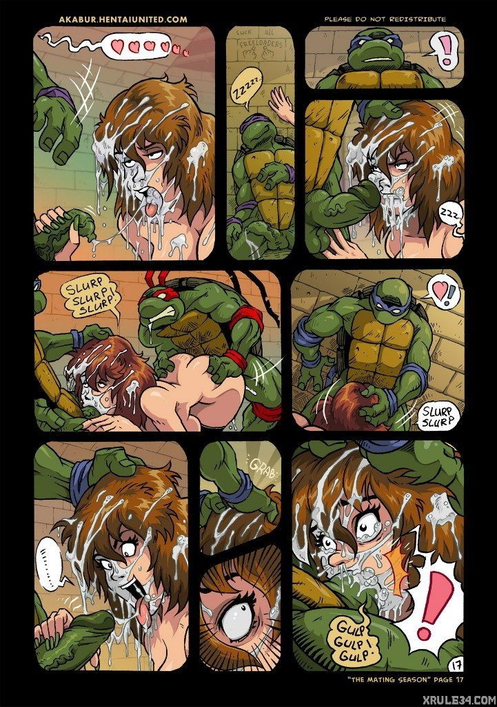 Turtles - Page 18