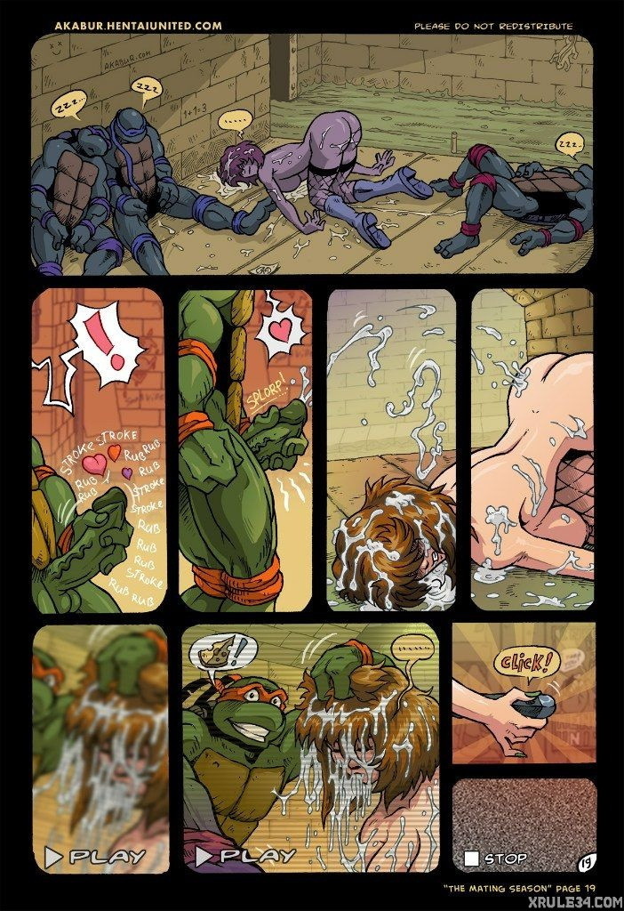 Turtles - Page 20